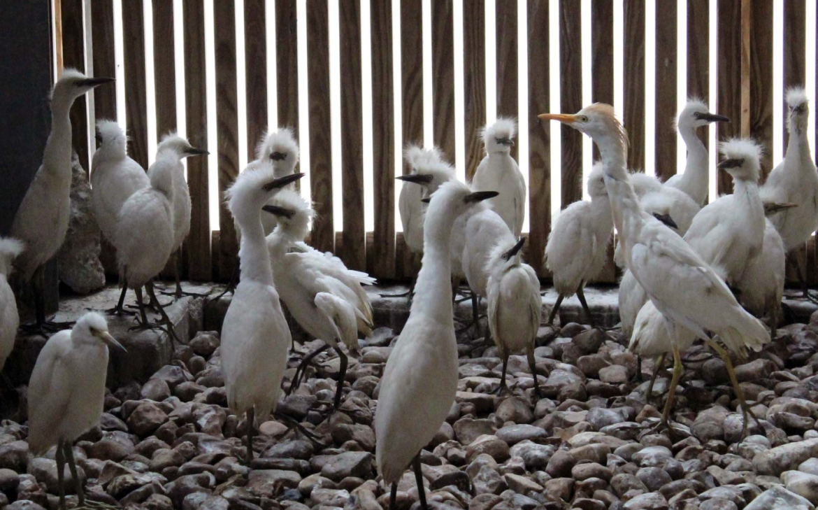 Screenshot 2024-07-19 at 7.19.08 AM